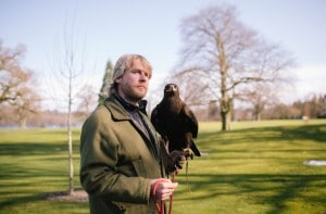 Highland games at cameron house falconry